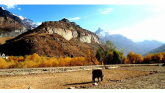 leh-sightseeing