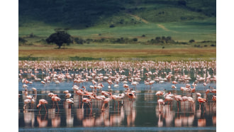 arusha-sightseeing