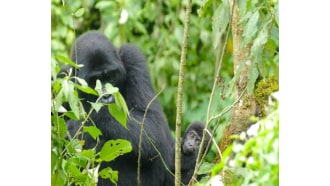 kampala-sightseeing