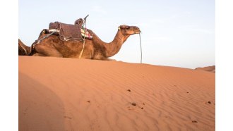 marrakech-sightseeing