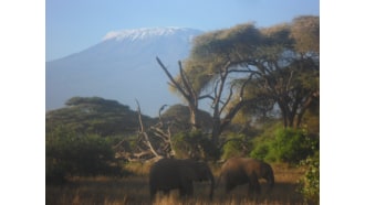 amboselinationalpark-sightseeing