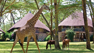 nairobi-sightseeing