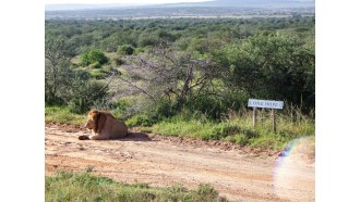 portelizabeth-sightseeing