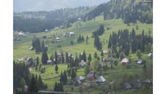 brasov-sightseeing