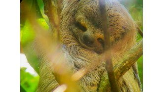 quepos-sightseeing