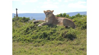 nairobi-sightseeing