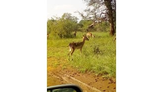 maputo-sightseeing