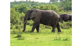 accra-sightseeing