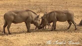 arusha-sightseeing