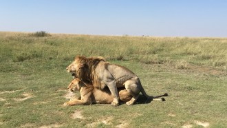 arusha-sightseeing