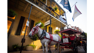 neworleans-sightseeing