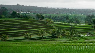 bali-sightseeing