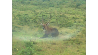 nairobi-sightseeing