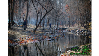 mashhad-sightseeing