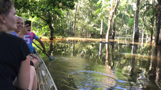 manaus-sightseeing