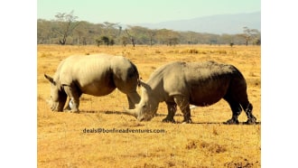 nairobi-sightseeing