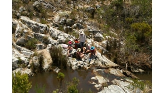 hermanus-sightseeing