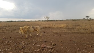 arusha-sightseeing