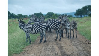 daressalaam-sightseeing