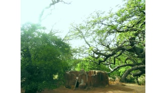 cotonou-sightseeing