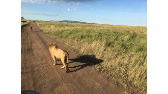 arusha-sightseeing