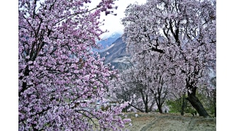 islamabad-sightseeing