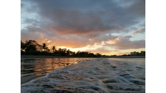 papagayopeninsula-sightseeing