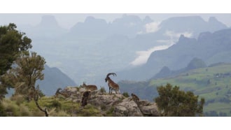 lalibela-sightseeing