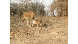 southluangwanationalpark-sightseeing