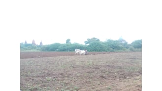 bagan-sightseeing