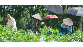 hanoi-sightseeing