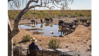 etoshanationalpark-sightseeing