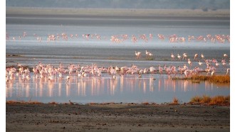 arusha-sightseeing