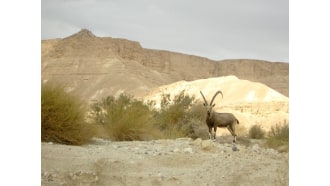 beersheva-sightseeing