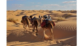 marrakech-sightseeing