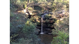 sydney-sightseeing