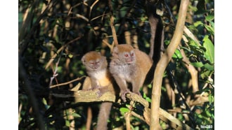 antananarivo-sightseeing