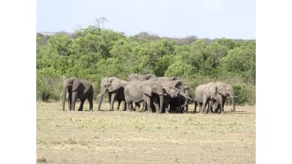 arusha-sightseeing