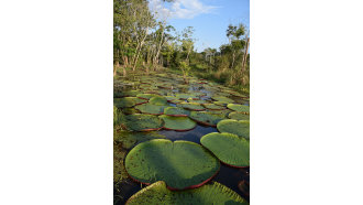 iquitos-sightseeing