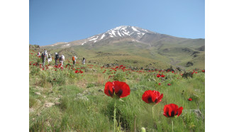 tehran-sightseeing