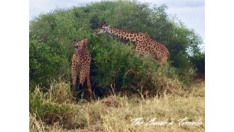 arusha-sightseeing