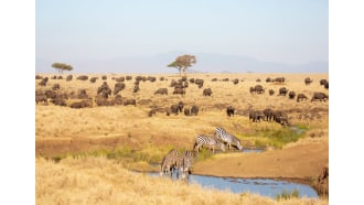 masaimara-sightseeing