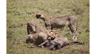 arusha-sightseeing