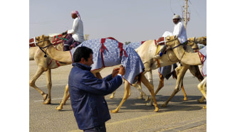 doha-sightseeing