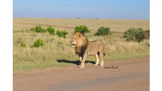 nairobi-sightseeing