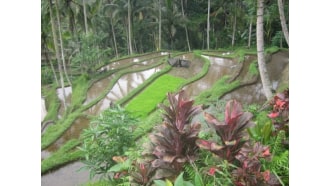 bali-sightseeing