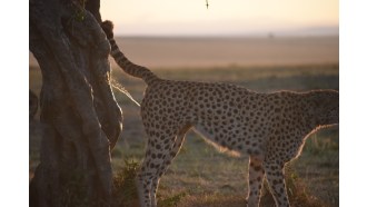 narok-sightseeing