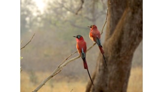 southluangwanationalpark-sightseeing