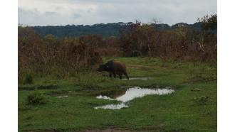 douala-sightseeing