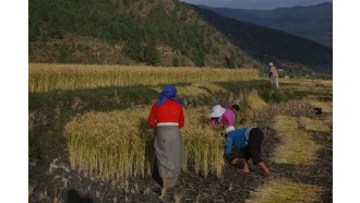 paro-sightseeing